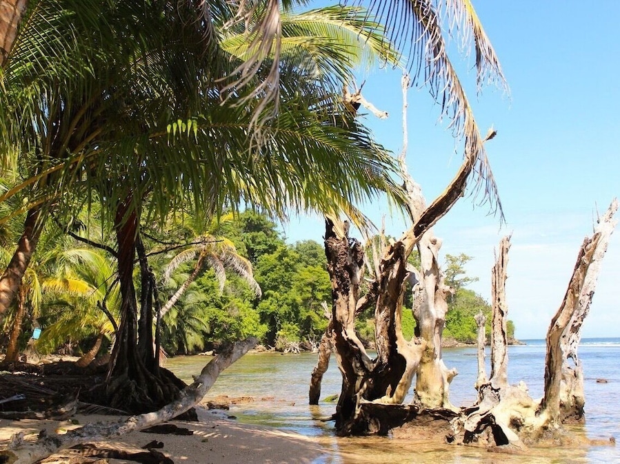 Beautiful tiny island.