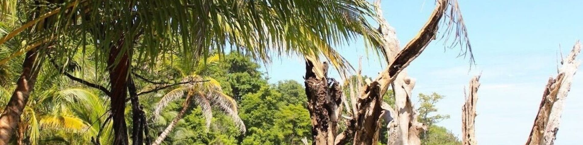 Beautiful tiny island.