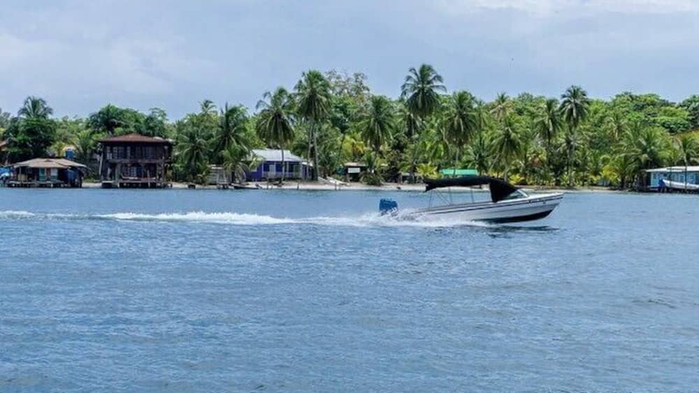Bocas del toro has a laid back atmosphere with great views and boats everywhere! #panama #bocasdeltoro #bocas #travelingtheworld #thetwohobos #nature #waterlife #caribbeanlife #island #naturelovers #travelphotography #islandlife #laidback #wonderful_places