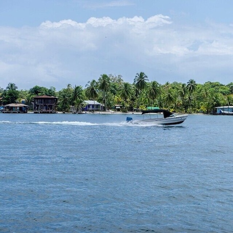 Bocas del toro has a laid back atmosphere with great views and boats everywhere! #panama #bocasdeltoro #bocas #travelingtheworld #thetwohobos #nature #waterlife #caribbeanlife #island #naturelovers #travelphotography #islandlife #laidback #wonderful_places