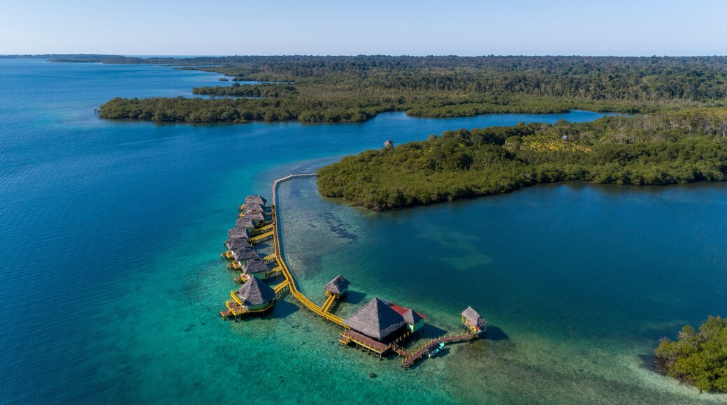 Bocas del Toro