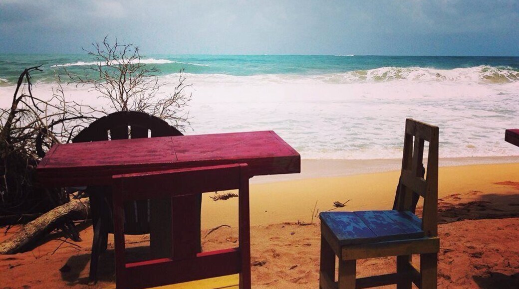 Literally a bar on the beach. Delicious food and drinks, and this view! #lifeatexpedia #beach #sunbathing #bluffbeach #bocasdeltoro #panama #panamaniacs