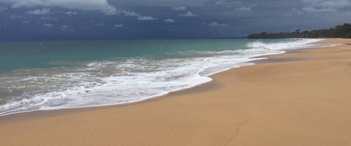 Beautiful beaches of Bocas del Toro
#Golden
#BocasDelTorro