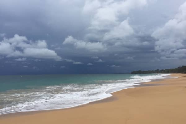 Beautiful beaches of Bocas del Toro
#Golden
#BocasDelTorro