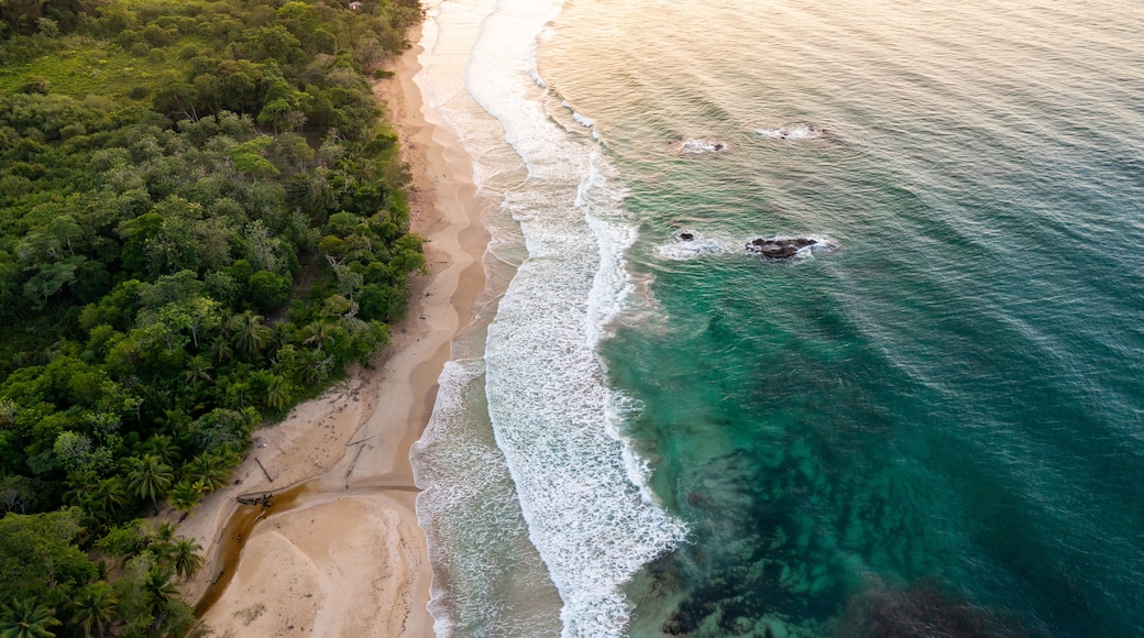 Tropical Island Aerial View. Wild coastline lush exotic green jungle. Red Frog Beach in Bastimentos Island, Bocas del Toro, Central America, Panama.
