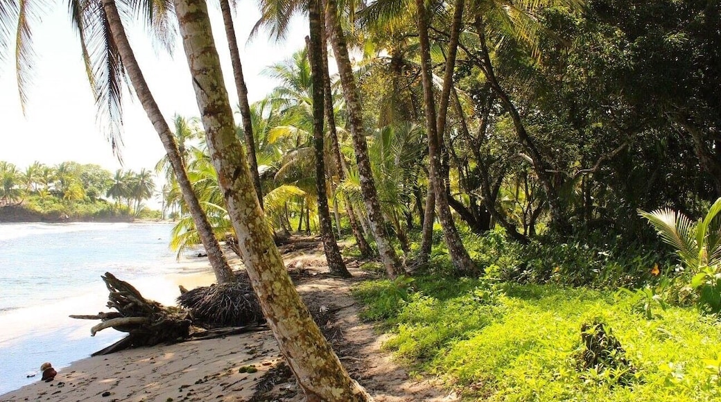 Beautiful walk on this tiny island.