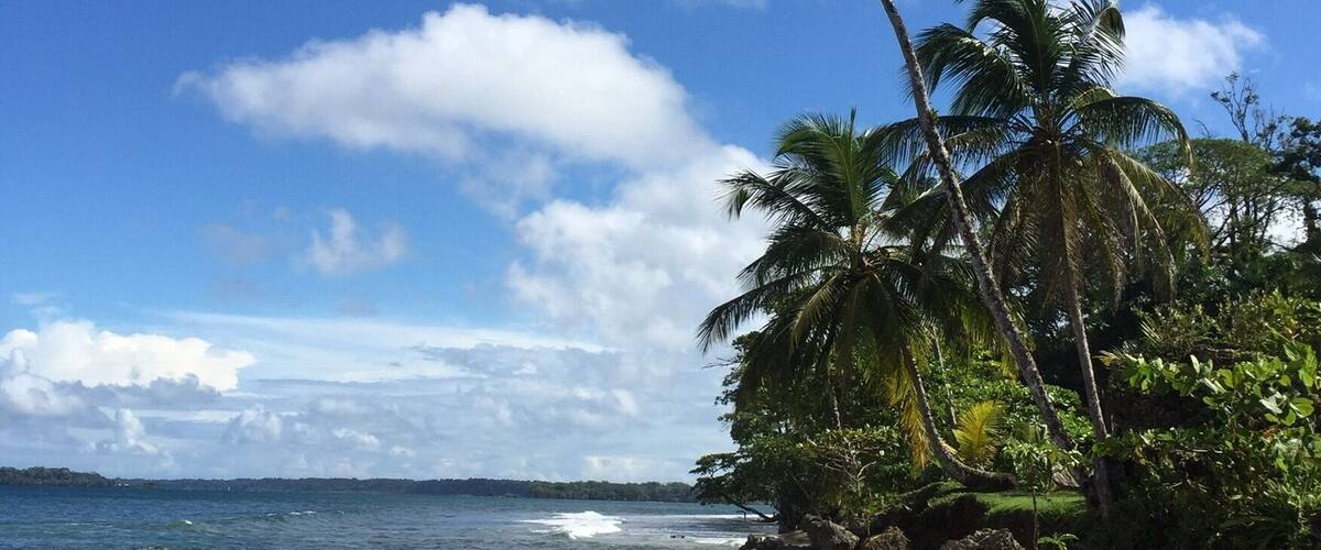 Our beautiful beach n Bocas del Toro.