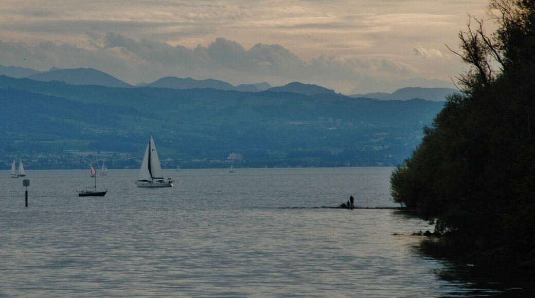 Blick vom Fluss Argen Richtung Bodensee und zur Schweiz