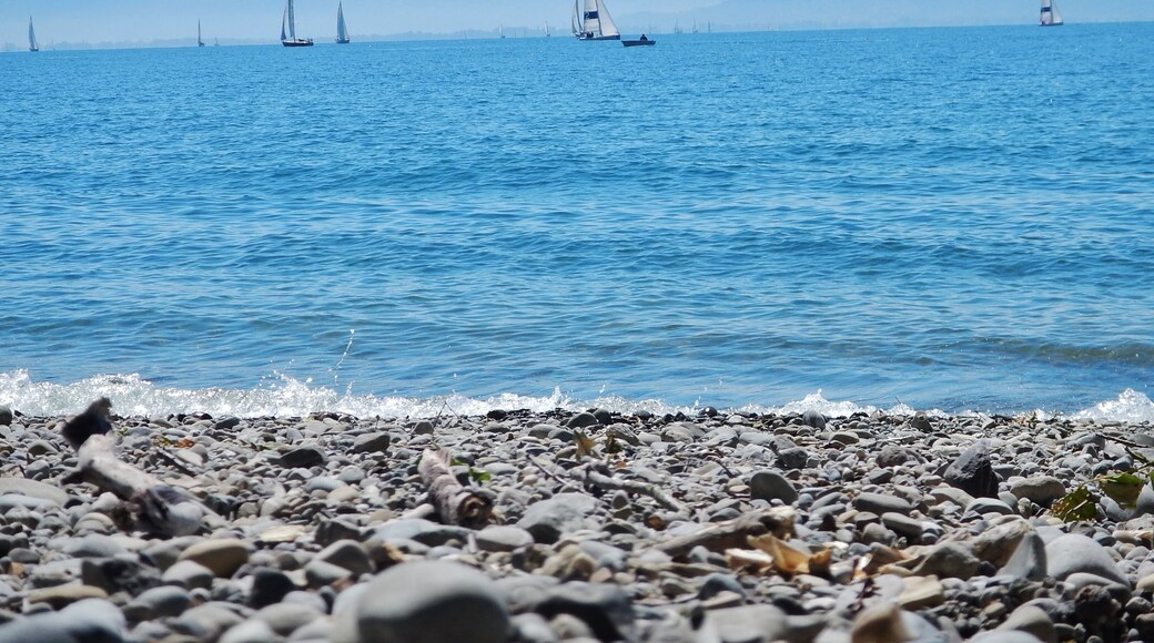 Blick vom Camping Gohren am See