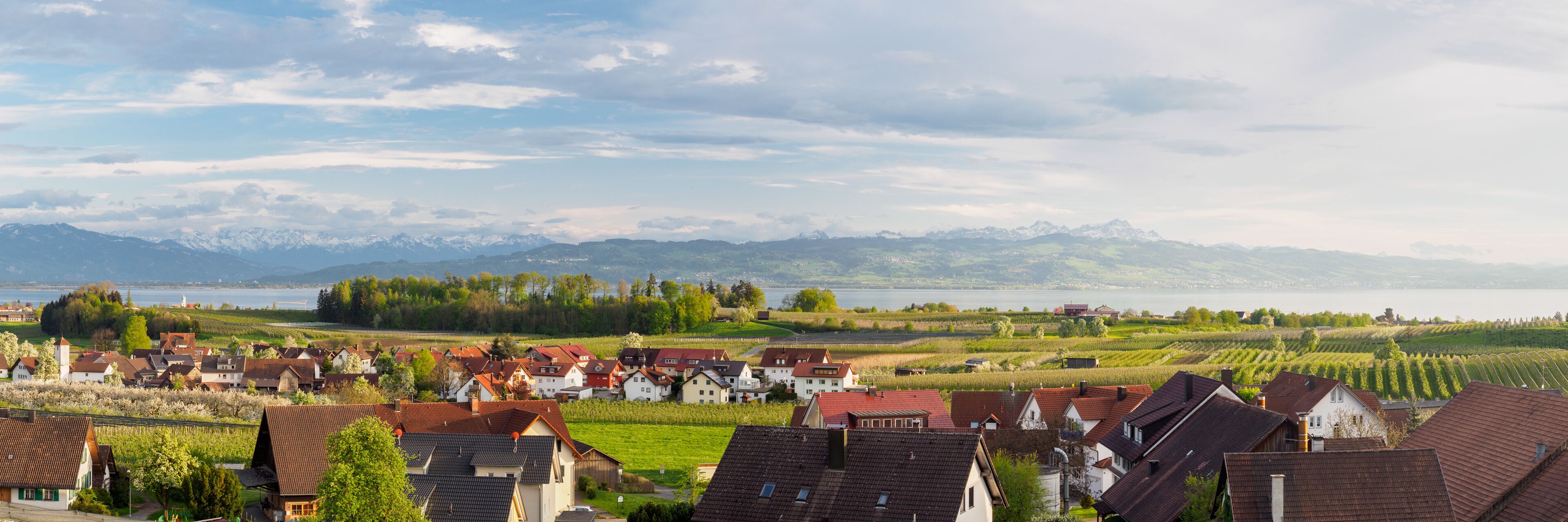 A village with red-roofed houses, vineyards, and a lake with mountains in the background.