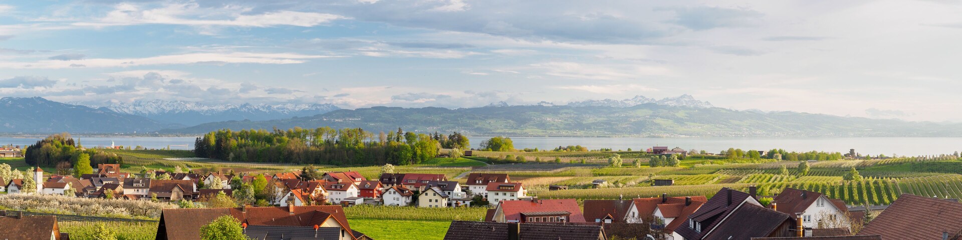 A village with red-roofed houses, vineyards, and a lake with mountains in the background.