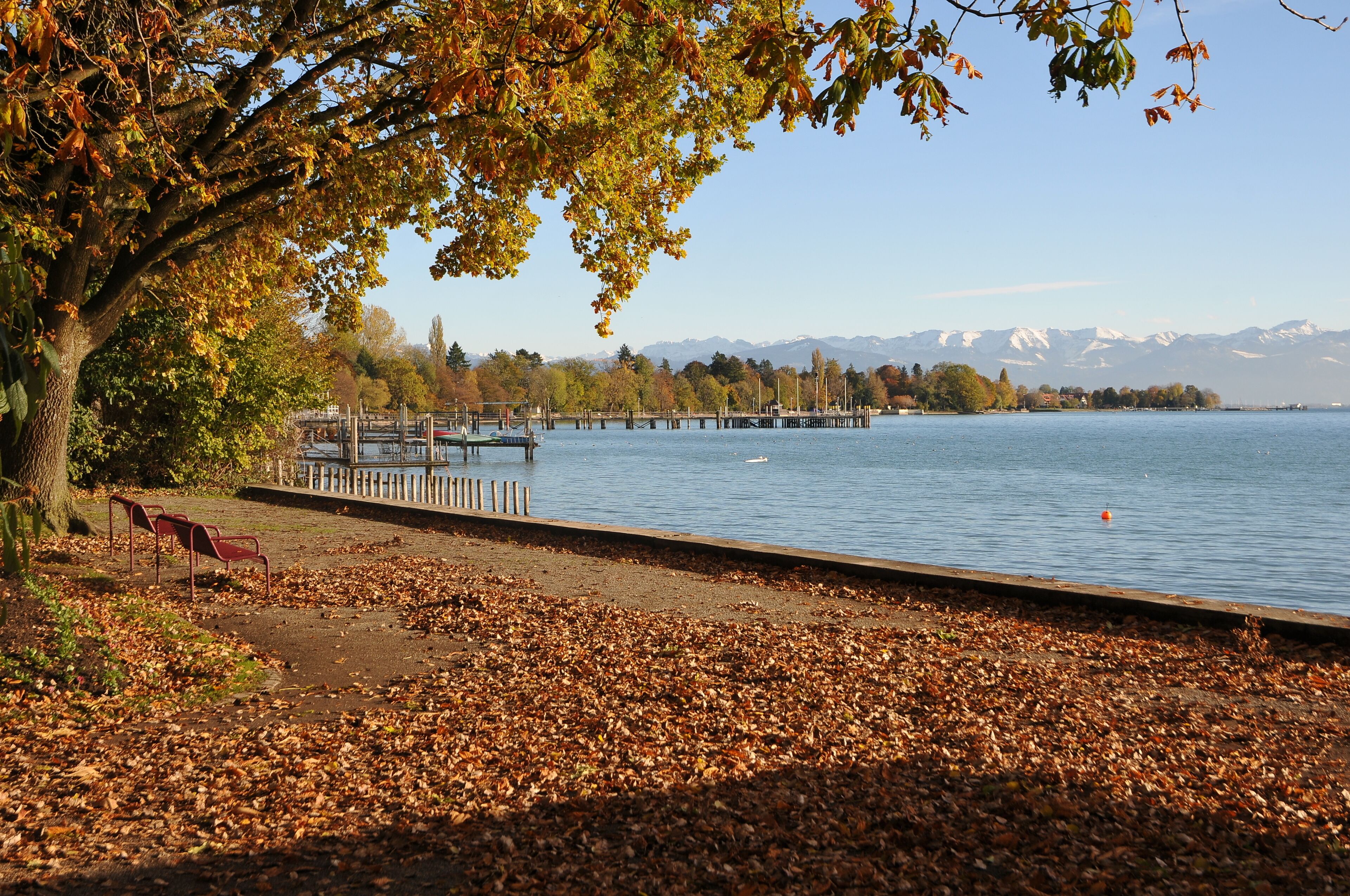 A lakeside park with autumn leaves, a dock, and mountains in the background.