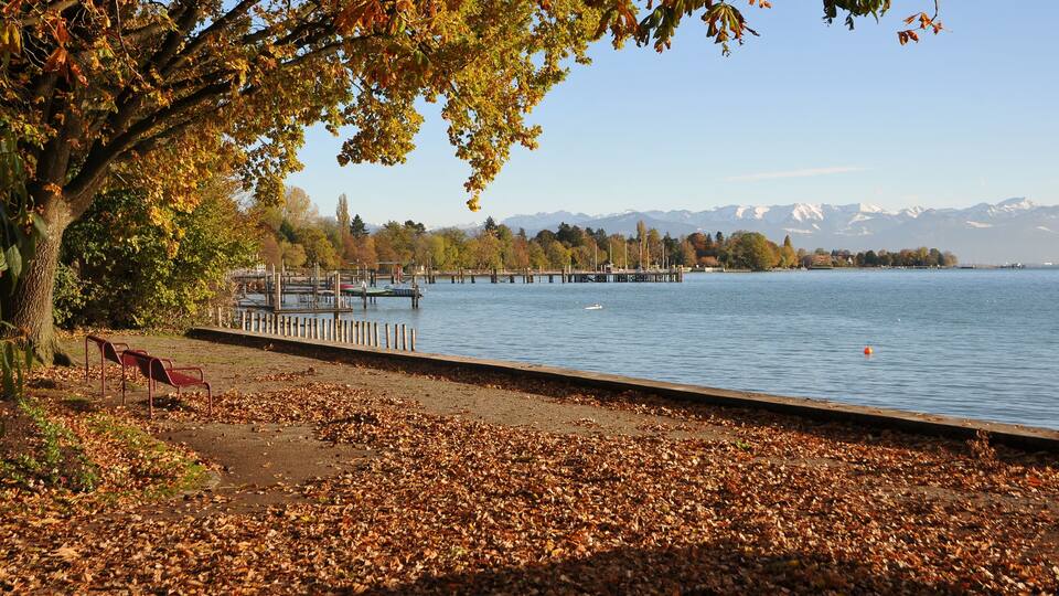 A lakeside park with autumn leaves, a dock, and mountains in the background.