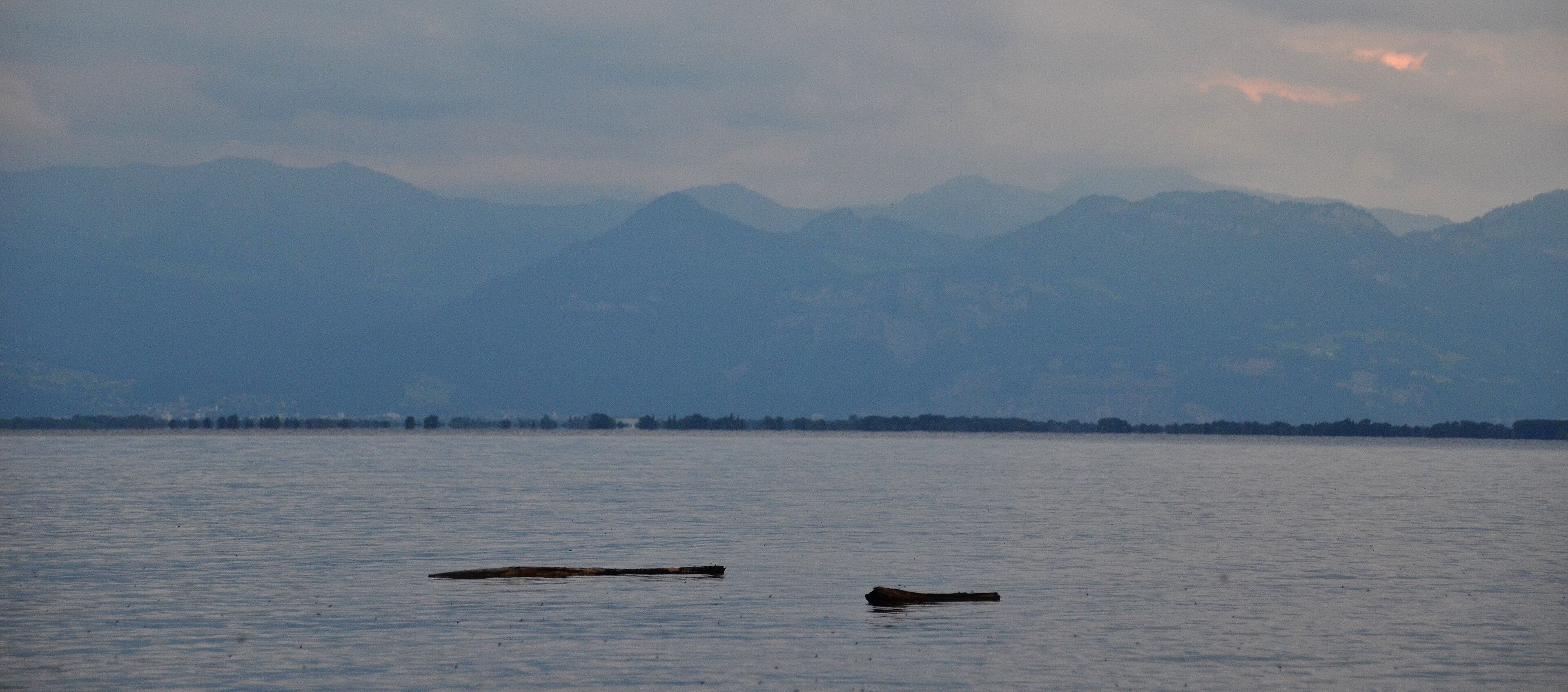 A calm lake with two logs floating on the water and mountains in the background.