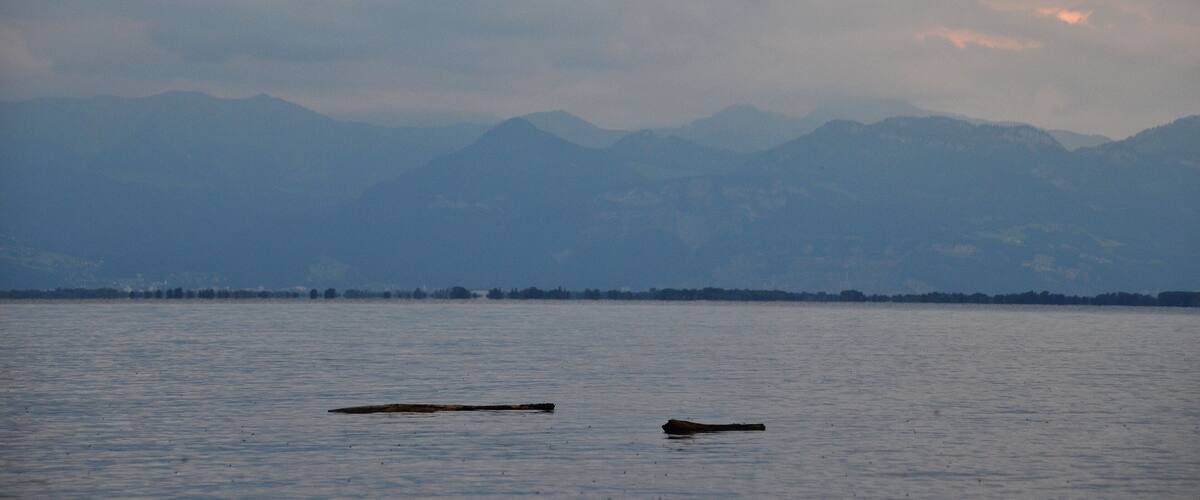 A calm lake with two logs floating on the water and mountains in the background.