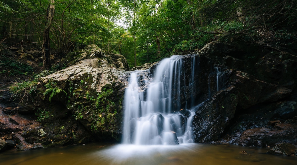 Cascade Falls, at Patapsco Valley State Park, in Maryland.