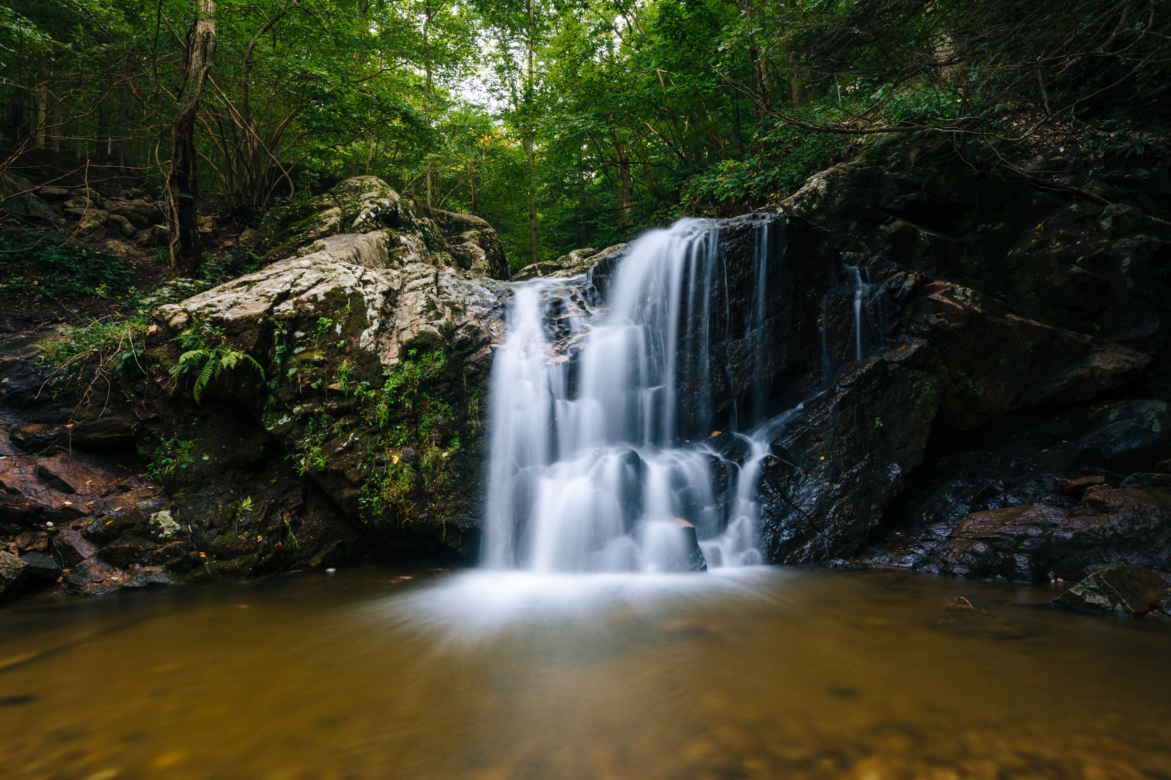 A waterfall in a forested area with a pool at the base.