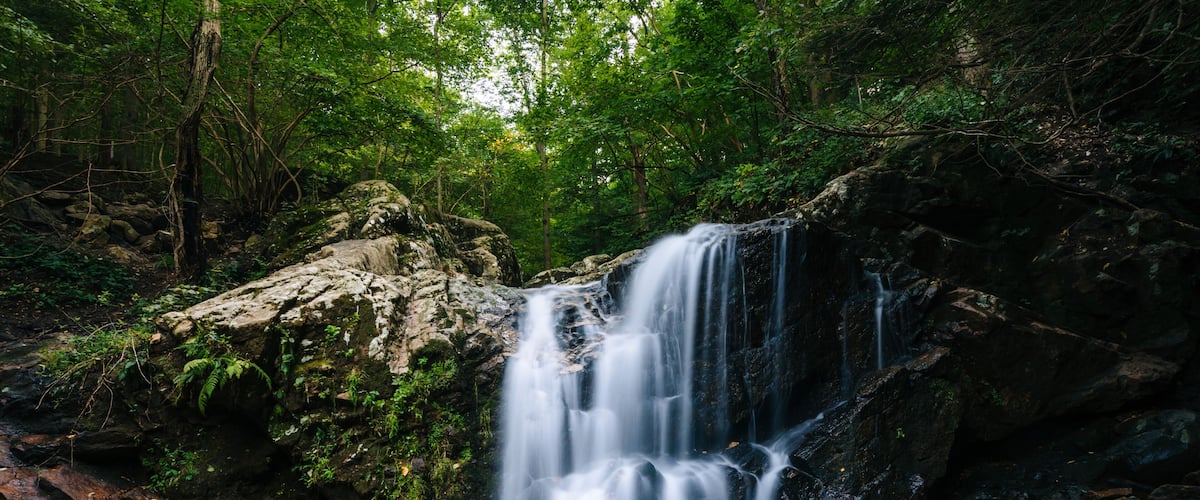 A waterfall in a forested area with a pool at the base.