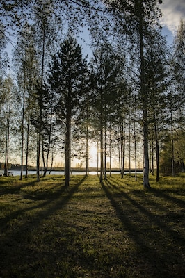 Sunset in the forest of finland