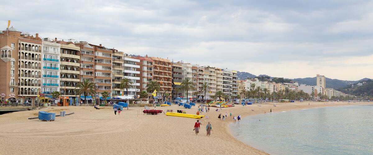 A beach with buildings, palm trees, and a clear sky.
