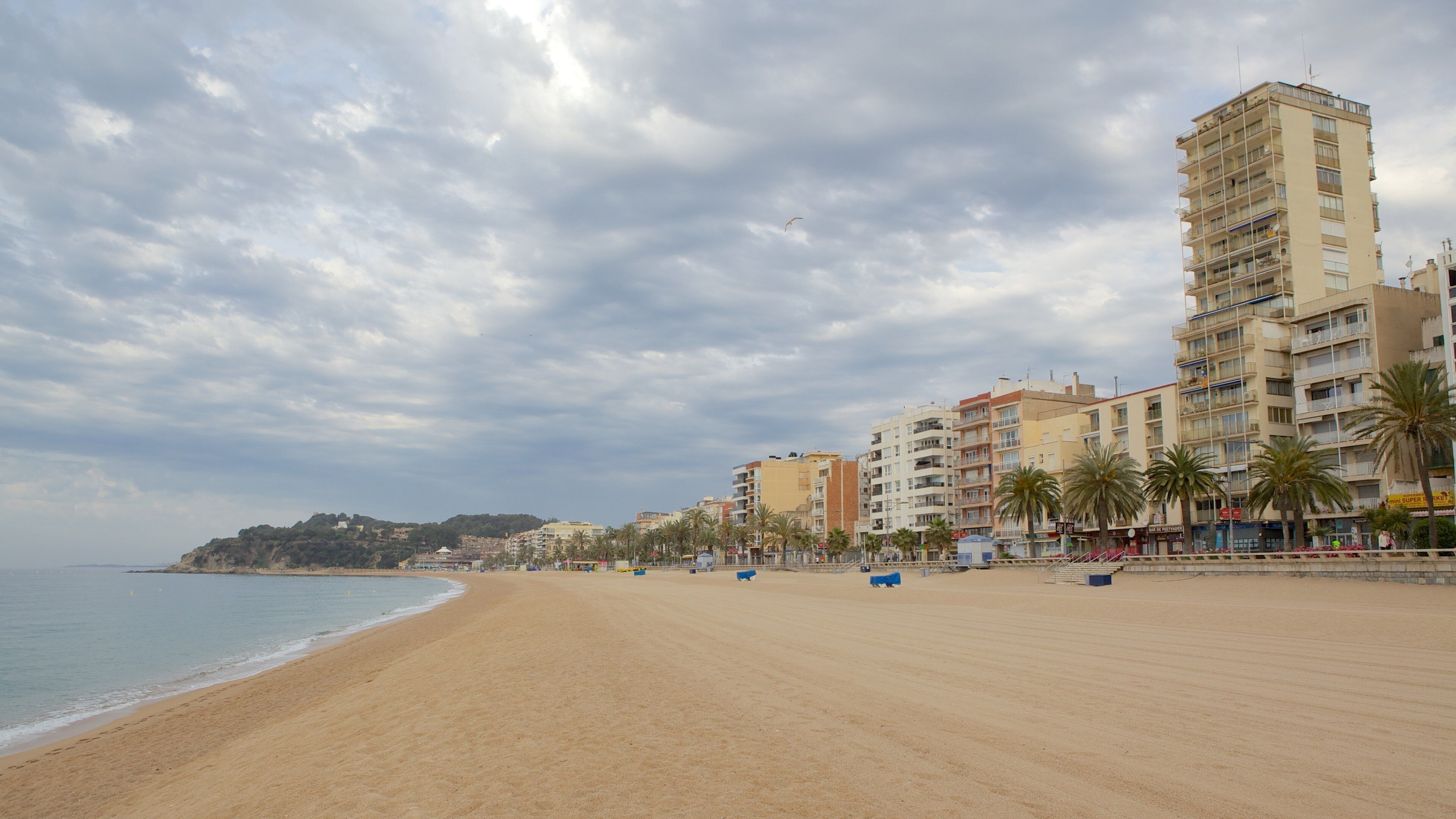 A beach with a sandy shore, a calm sea, and a row of multi-story buildings with palm trees in the background.
