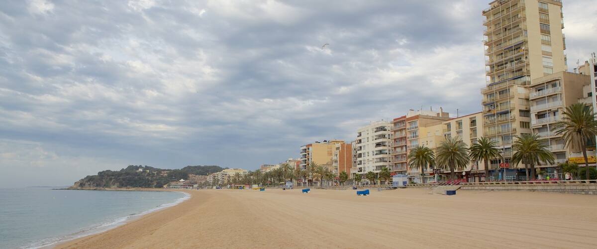 A beach with a sandy shore, a calm sea, and a row of multi-story buildings with palm trees in the background.