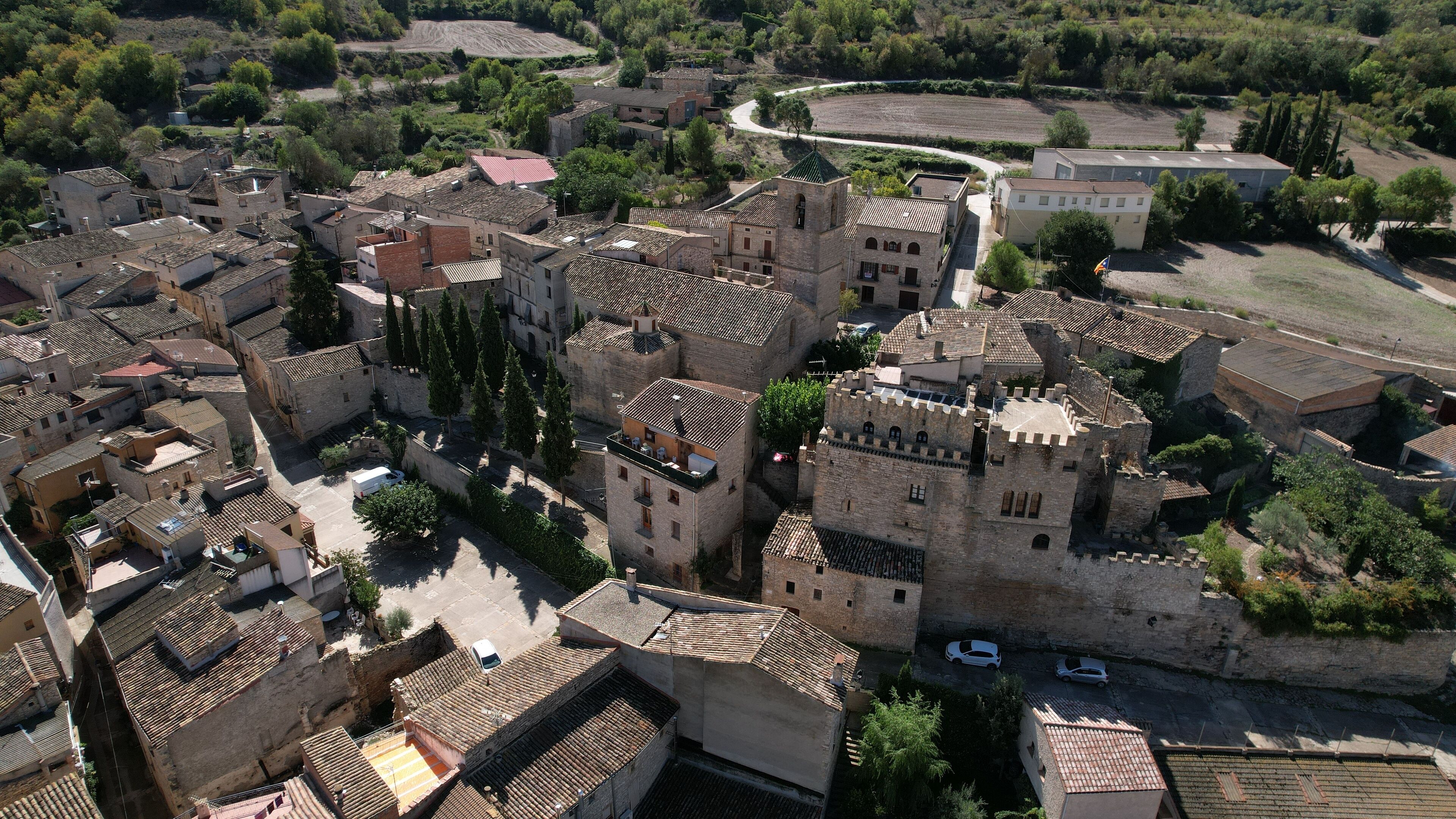An aerial view of a historic town with medieval architecture, including a prominent castle and narrow streets.