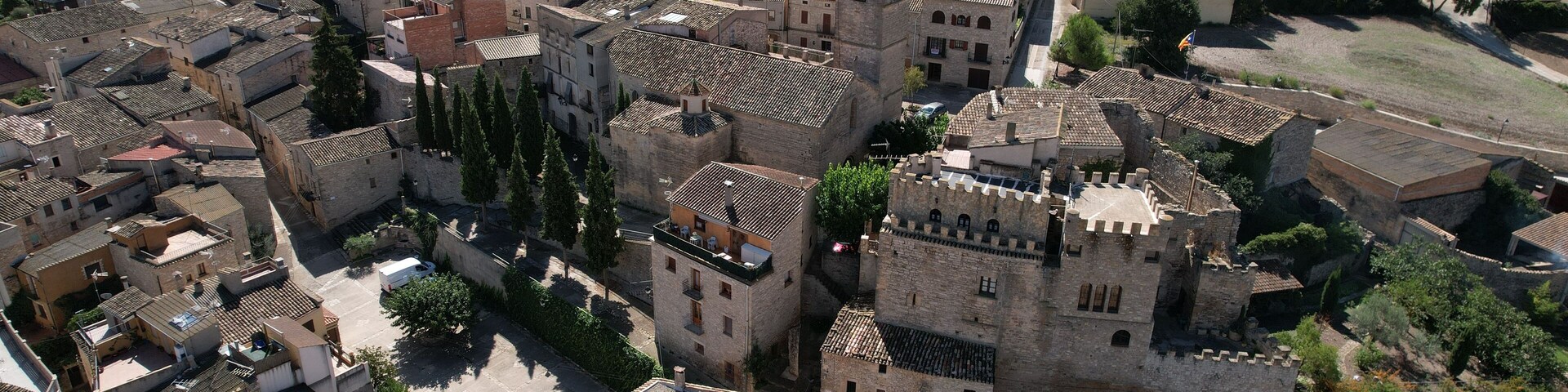 An aerial view of a historic town with medieval architecture, including a prominent castle and narrow streets.