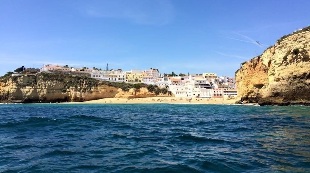 Le tour de bateau sur la côte est à faire! Magique les grottes.