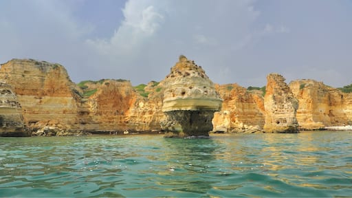 Erosion of the limestone cliffs by the waves creates intriguing shapes in the rocks ...work a boat trip