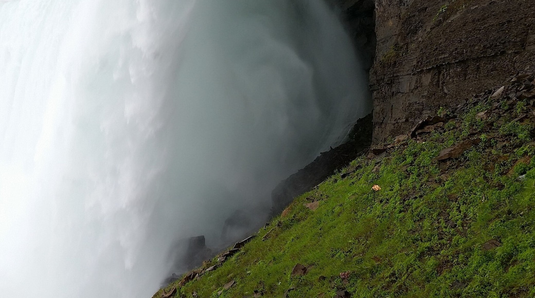 Feel the thunder of Niagara Falls from a series of tunnels behind the falls. You WILL get wet. Then go out to the observation deck where you can see behind the falls, at how the mist swirls back on itself, like this.
#waterfall #Niagara #Canada #USTravel #spectacular #tourist
#wanderlust #adventure
#bucketlist
