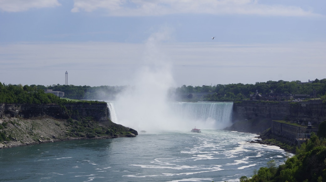 #niagara #canada #falls
Não é a primeira vez que visito Niagara Falls e é sempre uma emoção ver este espetáculo da natureza. Fizemos o passeio ao interior das cataratas (Journey Behind the Falls) e ponto de Observação em baixo. À noite, após o jantar, fizemos nova visita às quedas de água para as vermos iluminadas.
