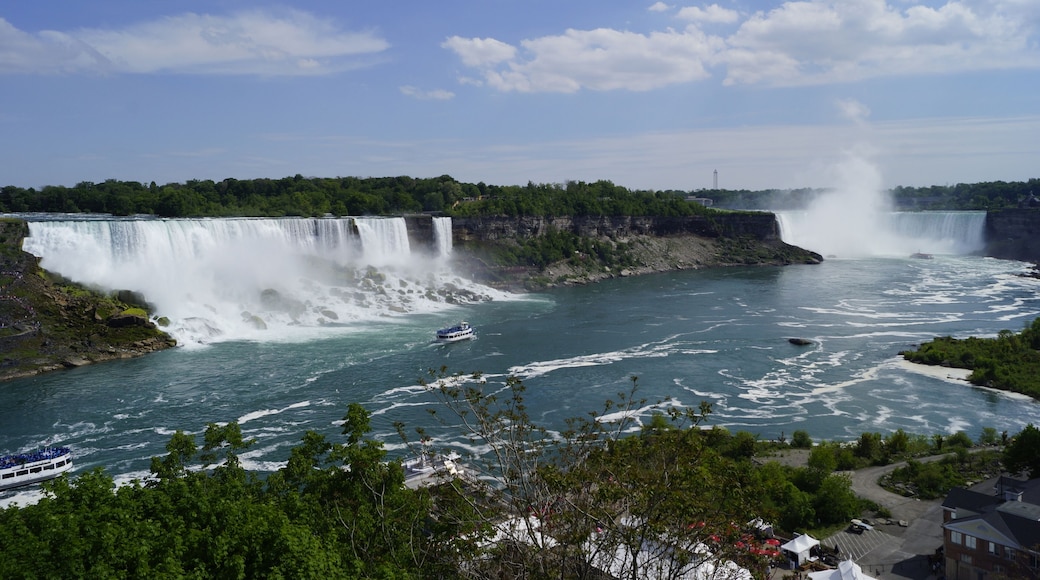#niagara #canada #falls
Não é a primeira vez que visito Niagara Falls e é sempre uma emoção ver este espetáculo da natureza. Fizemos o passeio ao interior das cataratas (Journey Behind the Falls) e ponto de Observação em baixo. À noite, após o jantar, fizemos nova visita às quedas de água para as vermos iluminadas.