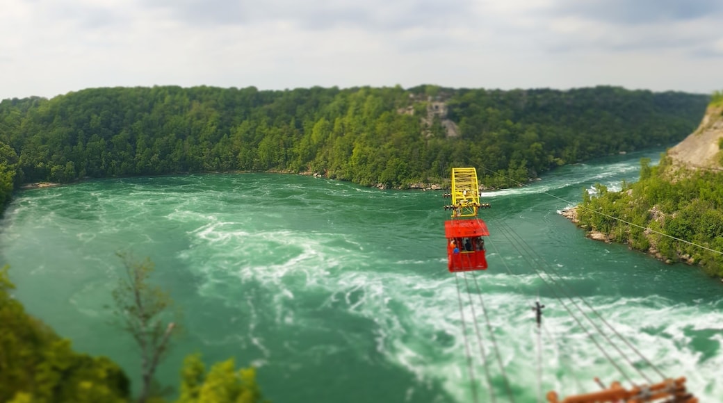 Just hanging around... #Niagara