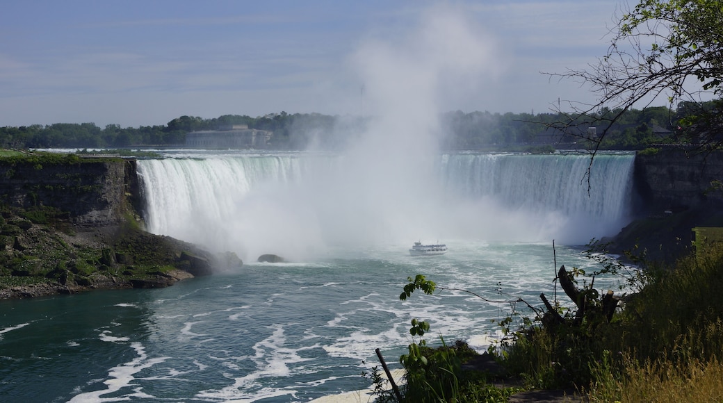 #niagara #canada #falls
Não é a primeira vez que visito Niagara Falls e é sempre uma emoção ver este espetáculo da natureza. Fizemos o passeio ao interior das cataratas (Journey Behind the Falls) e ponto de Observação em baixo. À noite, após o jantar, fizemos nova visita às quedas de água para as vermos iluminadas.