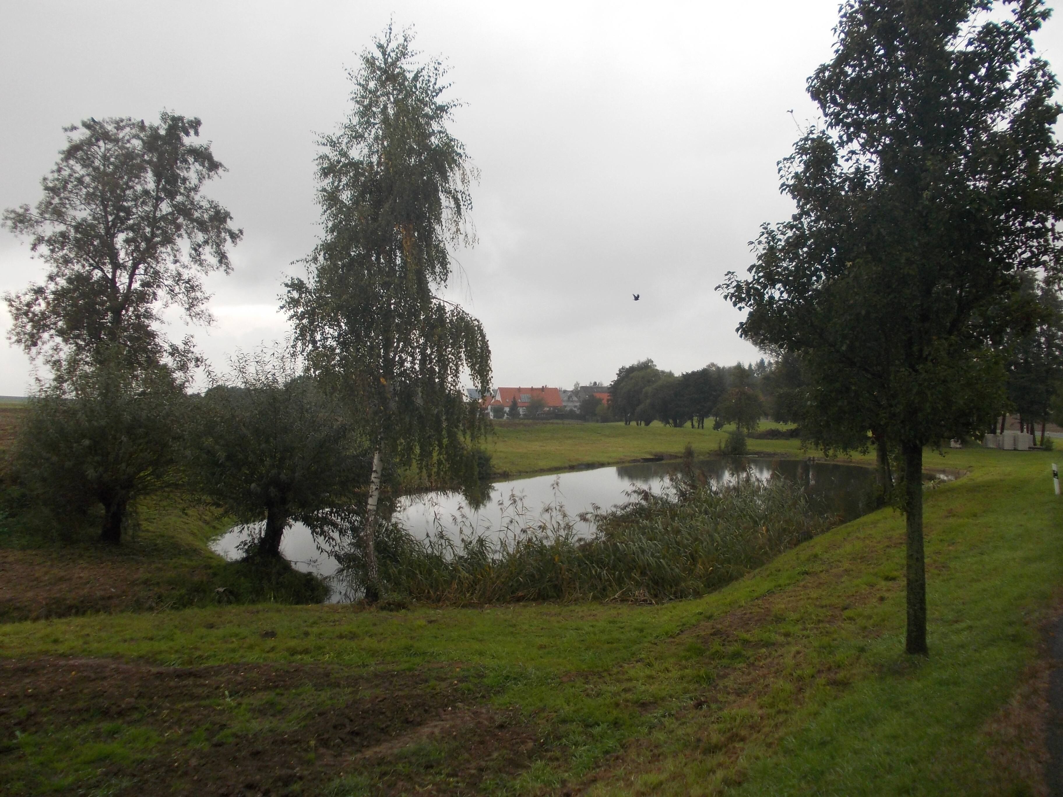 Pond south of Wickershain (Geithain, Leipzig district, Saxony)