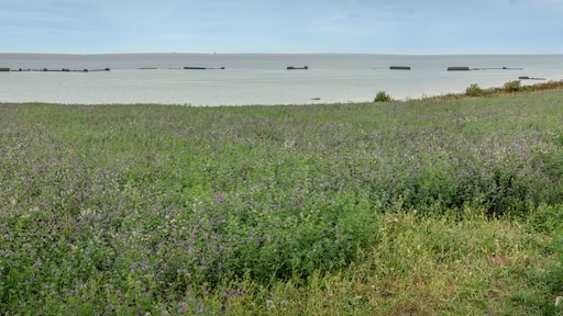 Arromanches-les-Bains