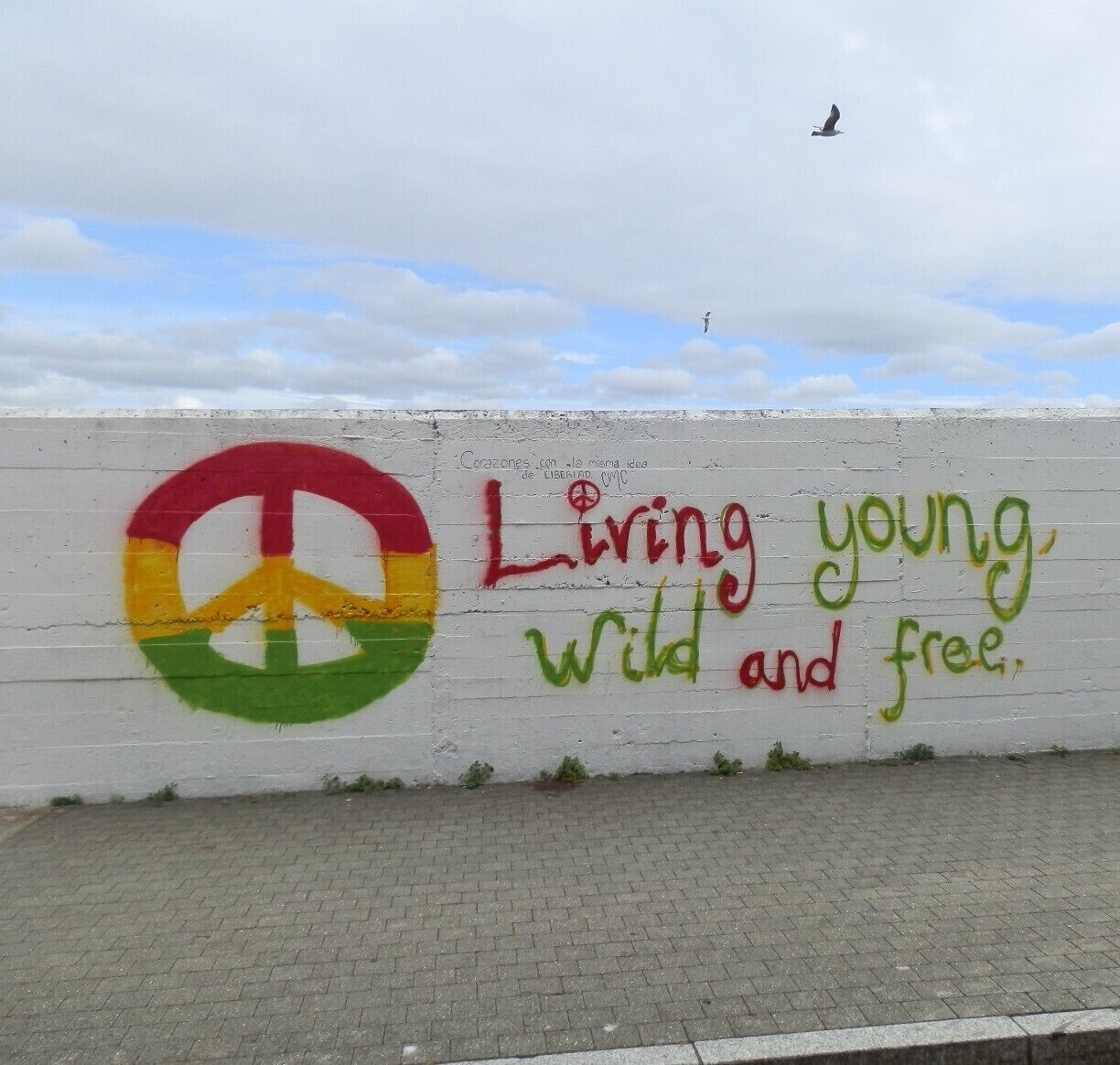 A little feeling from spain: freedom.  