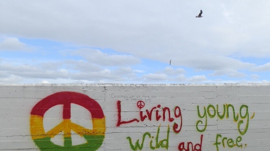 A little feeling from spain: freedom.