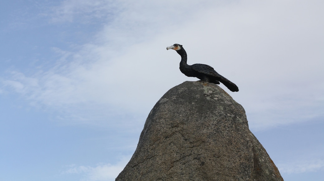 Con do Paxaro, coa escultura dun corvo mariño. Popularmente considérase o límite dos concellos do Grove e Sanxenxo, aínda que realmente o límite está máis ó norte.