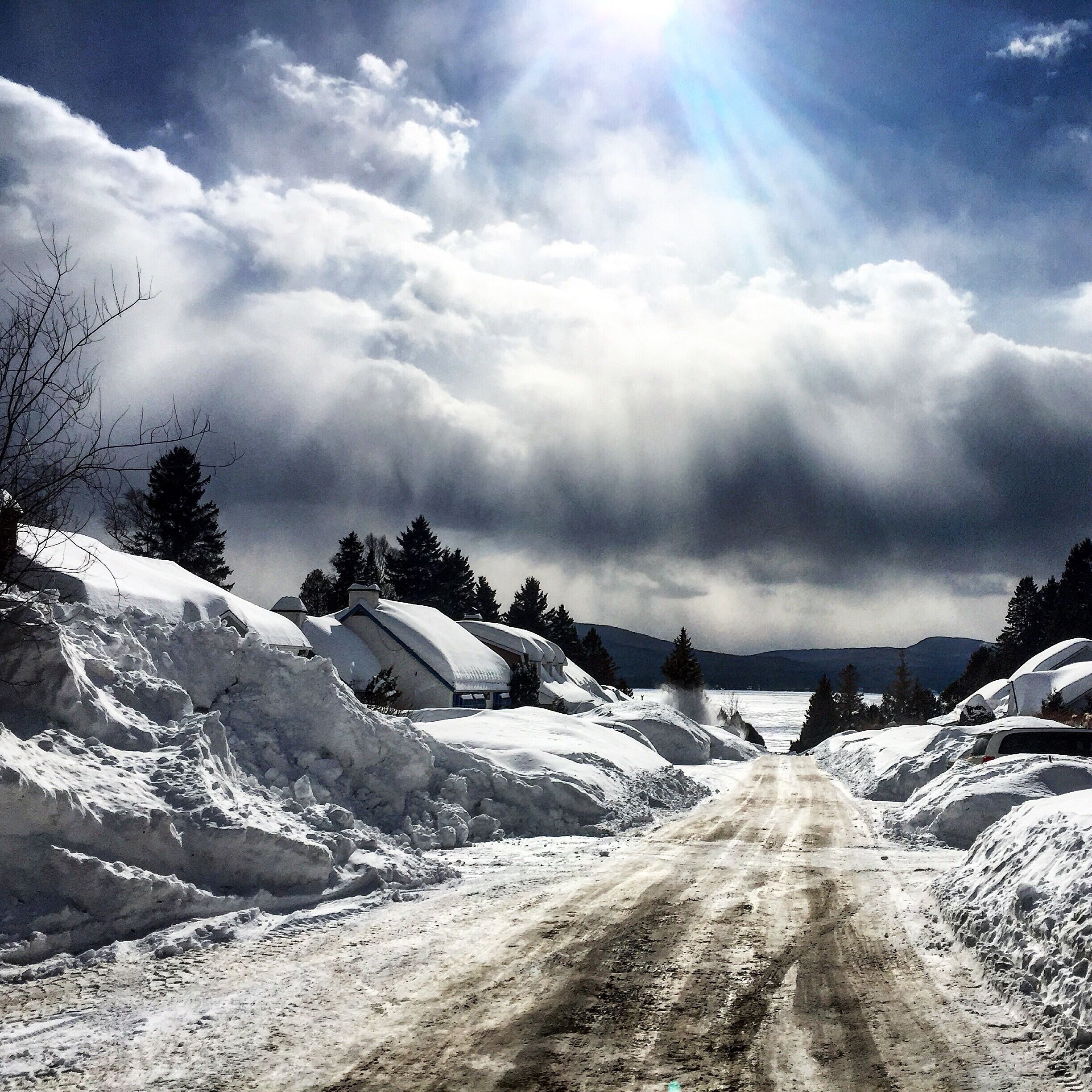 More snow than I've seen in my lifetime!  It's been such an amazing winter. 