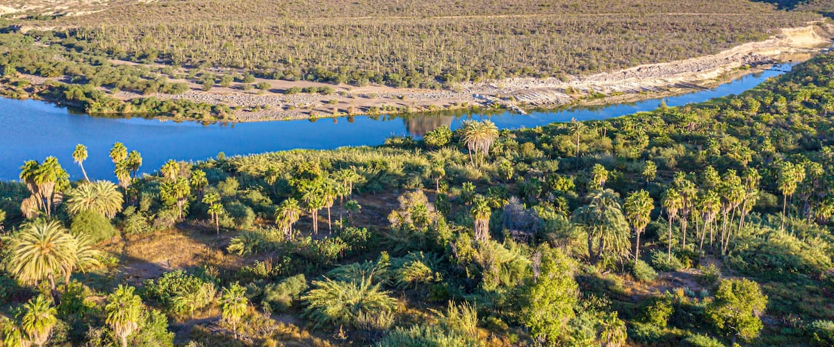 Aerial view of pilon hill with river and rugged vegetation in a serene desert landscape, Comondu Municipality, Mexico.