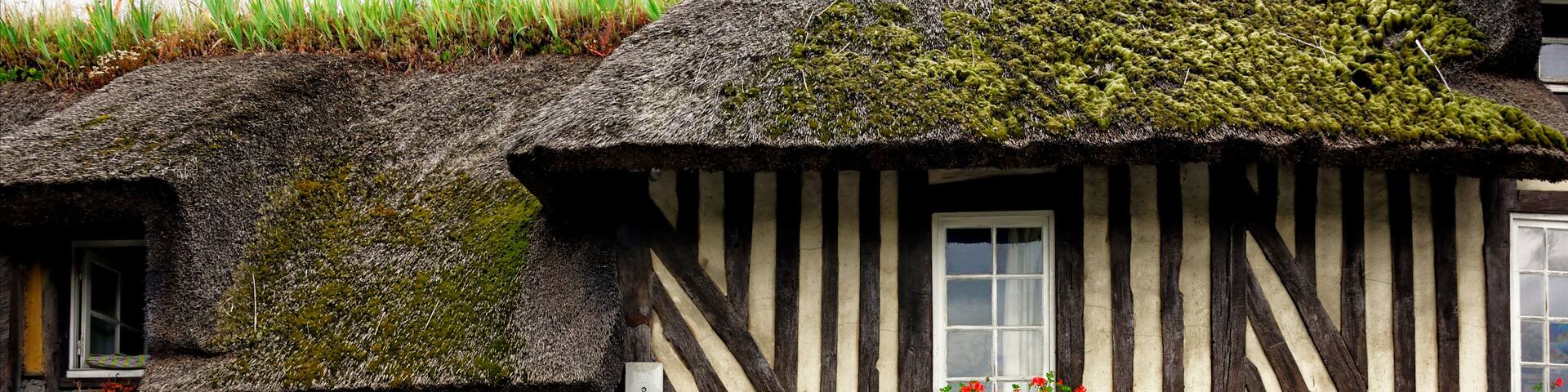 Characteristic half-timbered house covered with thatched roof, historic architecture in Normandy, Tourgeville, Calvados , Normandy, France, Europ