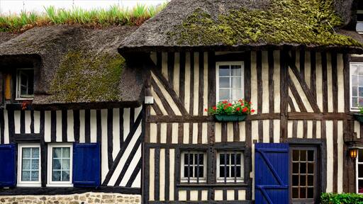 Characteristic half-timbered house covered with thatched roof, historic architecture in Normandy, Tourgeville, Calvados , Normandy, France, Europ