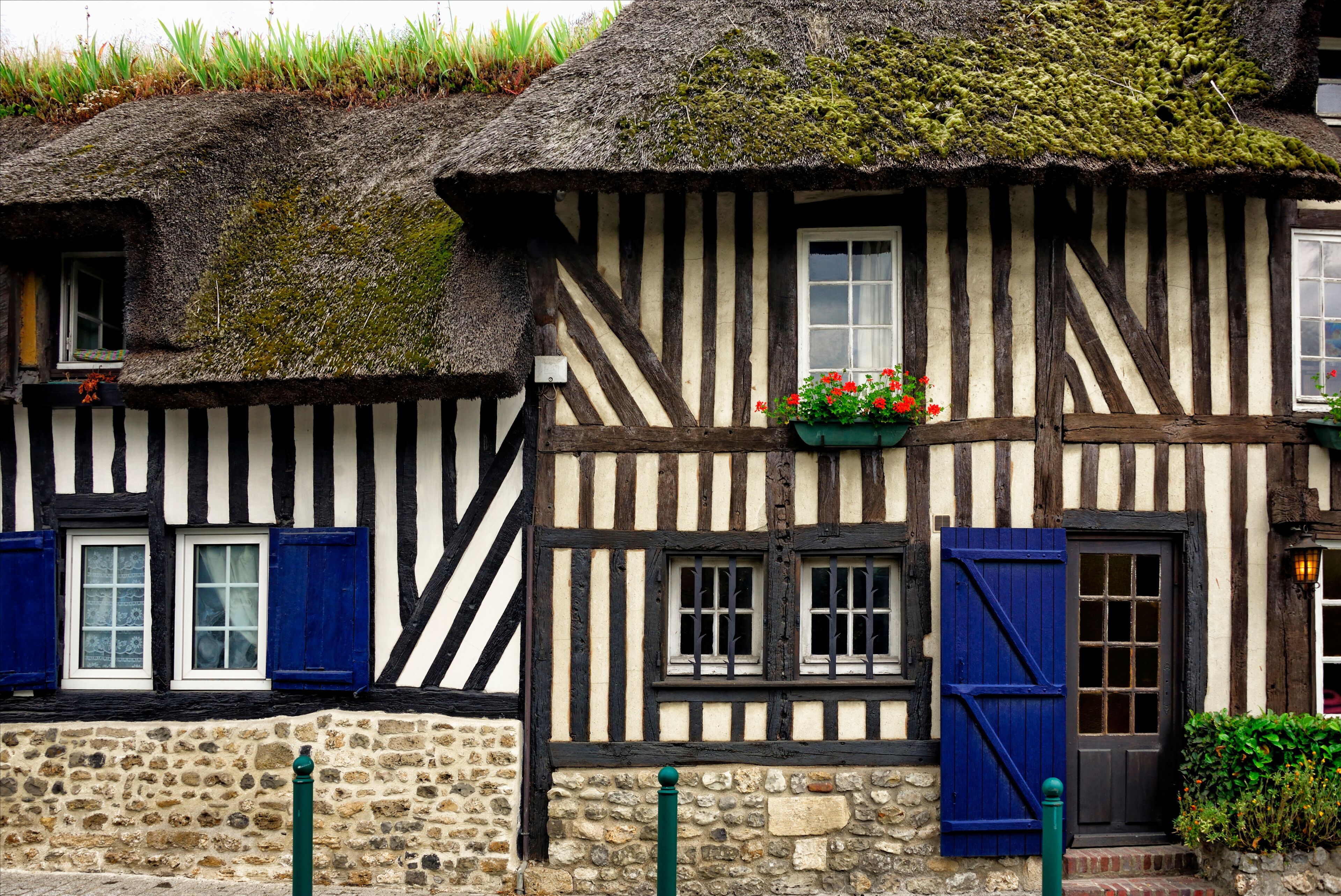 A traditional half-timbered house with a thatched roof, blue shutters, and a flower box on the window.