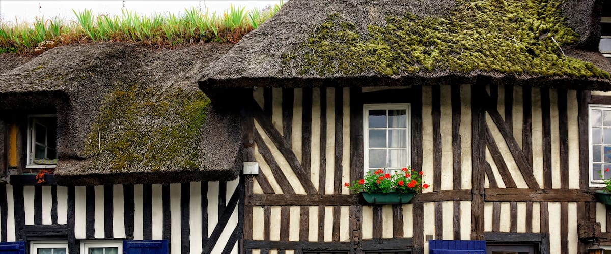 A traditional half-timbered house with a thatched roof, blue shutters, and a flower box on the window.