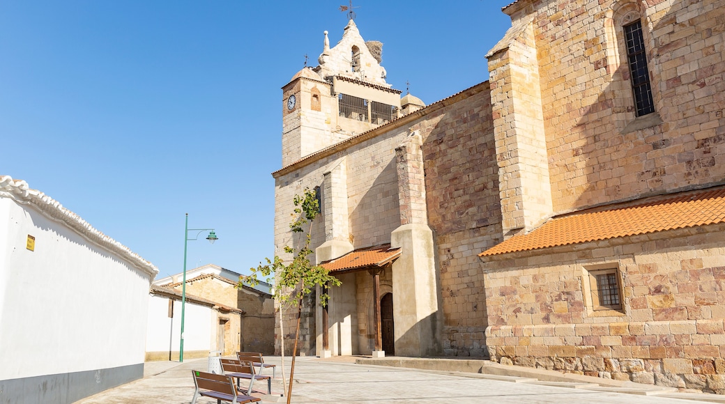 Plaza Mayor in Villaralbo town and the Parish Church of San Ildefonso, province of Zamora, Spain
