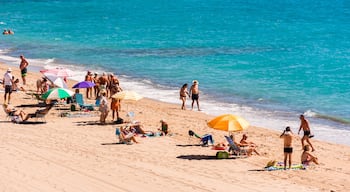 MIAMI PLATJA, SPAIN - SEPTEMBER 13, 2017: View of the sandy beach Mont-roig del Camp. Copy space for text.