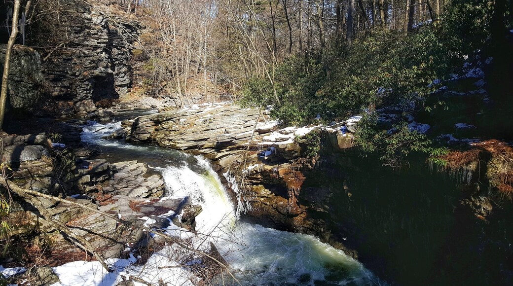 Waterfall in the gorge #waterfall #gorge #parks