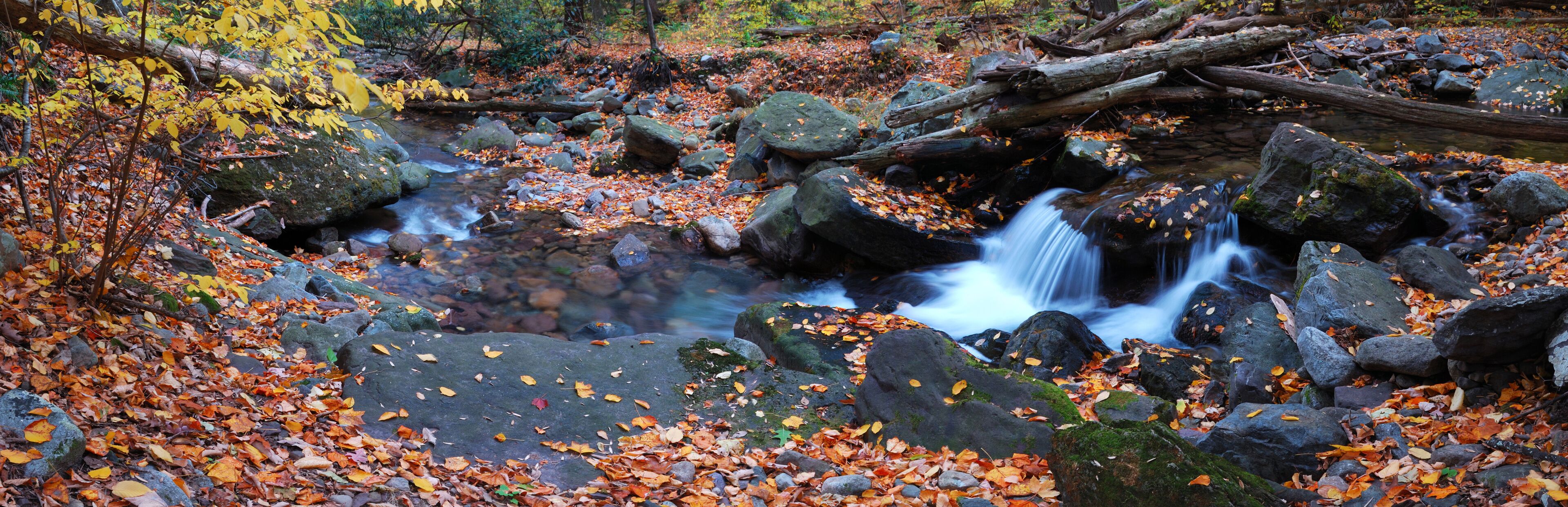 Autumn creek panorama